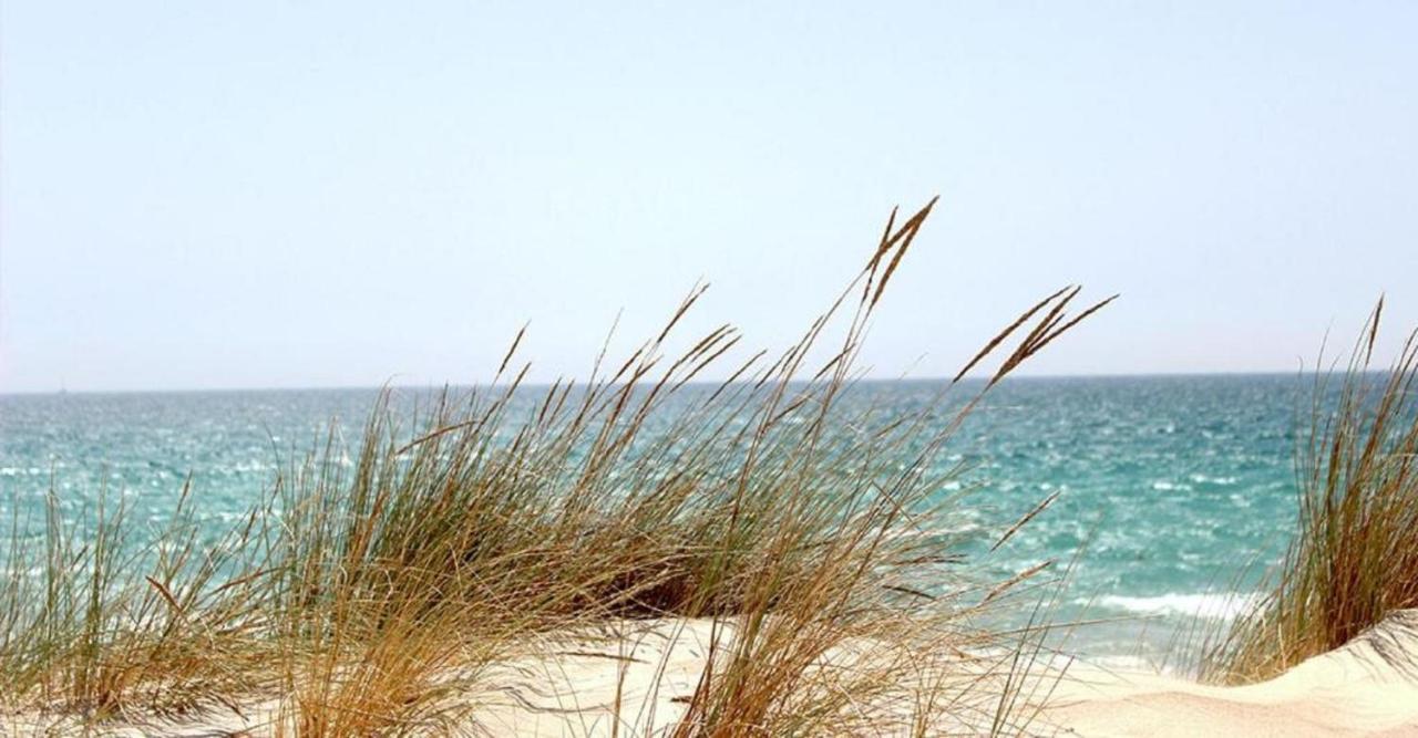 Mhvacances Louent Plusieurs Mobilhomes Dans Camping 4 Etoiles A 200M De La Plage Et Cure Thermale Canet-en-Roussillon Exteriör bild