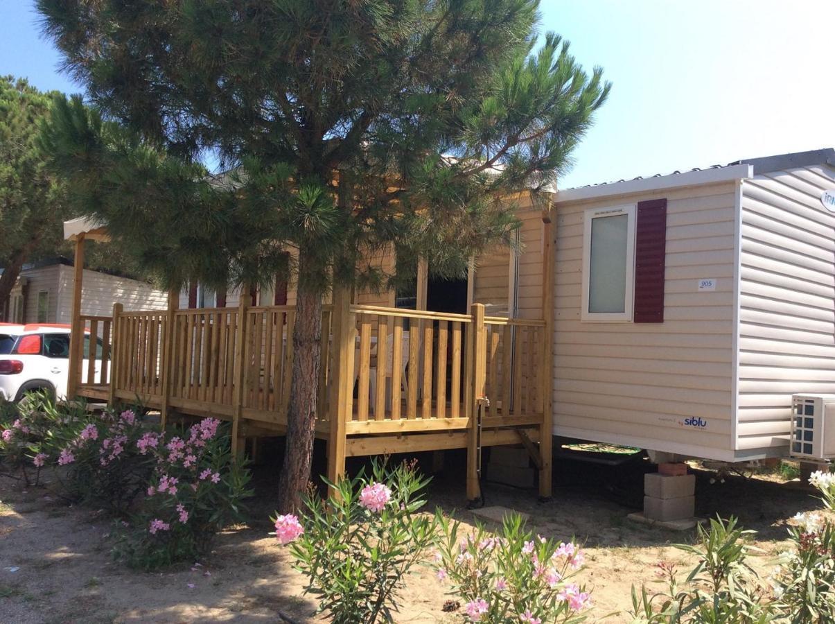 Mhvacances Louent Plusieurs Mobilhomes Dans Camping 4 Etoiles A 200M De La Plage Et Cure Thermale Canet-en-Roussillon Exteriör bild